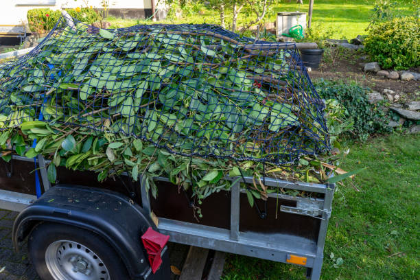 Moving and Downsizing Cleanouts in Lima, PA